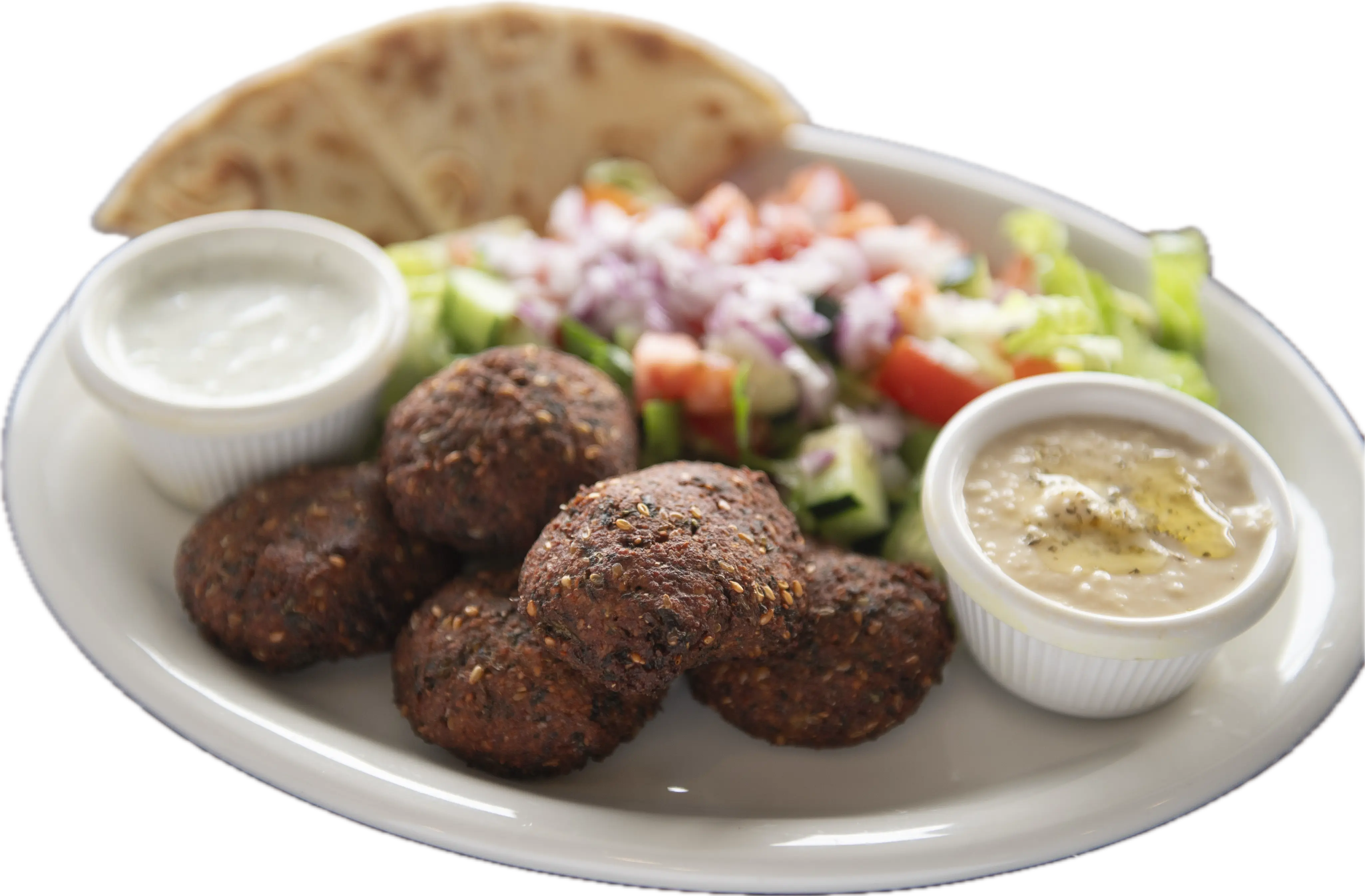 Falafel Plate